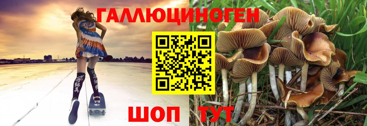 Белореченск  Псилоцибиновые грибы прущие грибы  Вход с VPN  Псилоцибиновые грибы ЛСД 